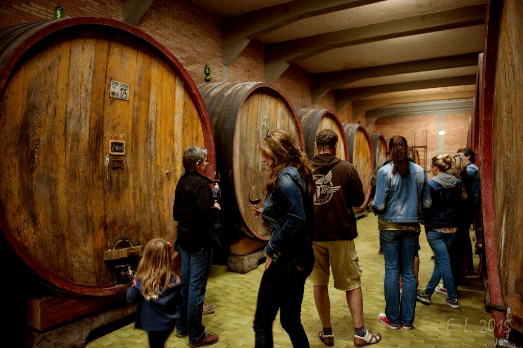Degustazioni in cantin