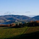 Blick aus dem Fenster zum Südhang des Weinbergs
