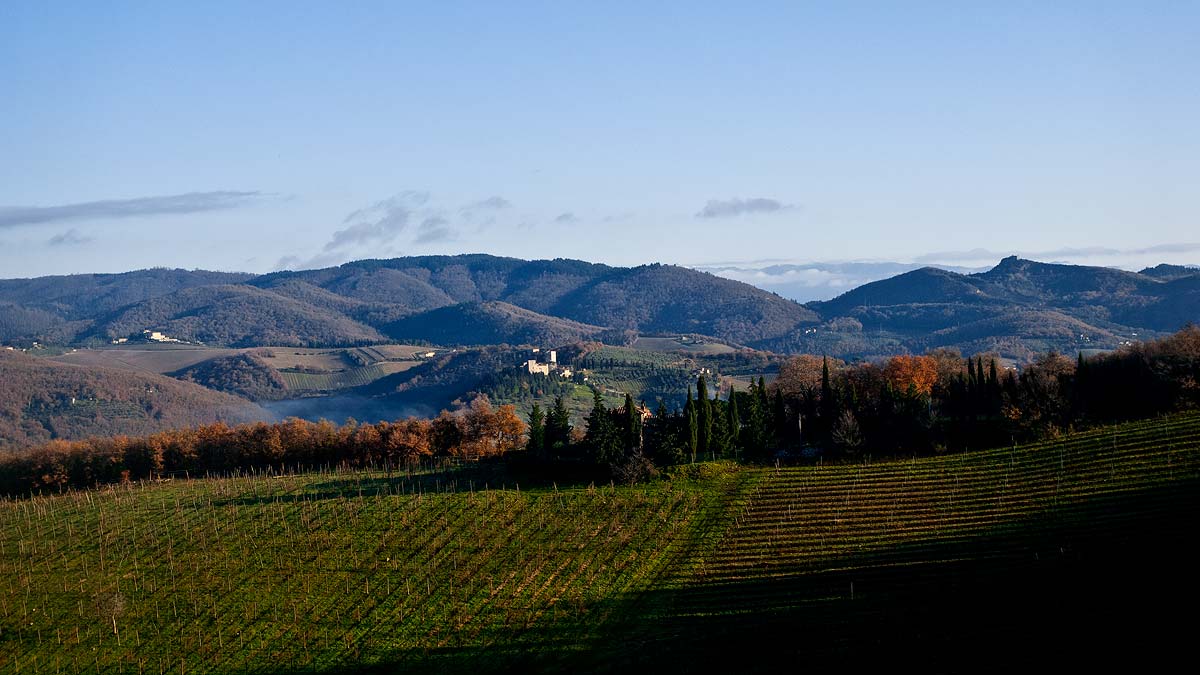 Blick aus dem Fenster zum Südhang des Weinbergs